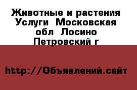 Животные и растения Услуги. Московская обл.,Лосино-Петровский г.